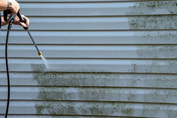 Professional Siding Installation & Repair in Sloan, NY